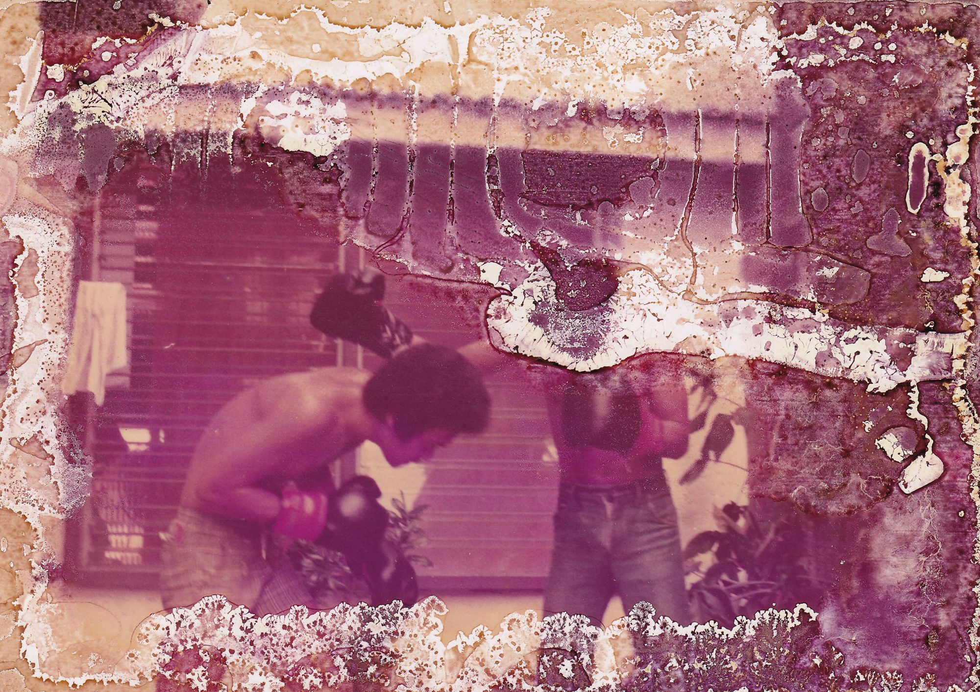 01_Pineda_PhotoFringe_Boxing_Archive-1.jpg#asset:1863