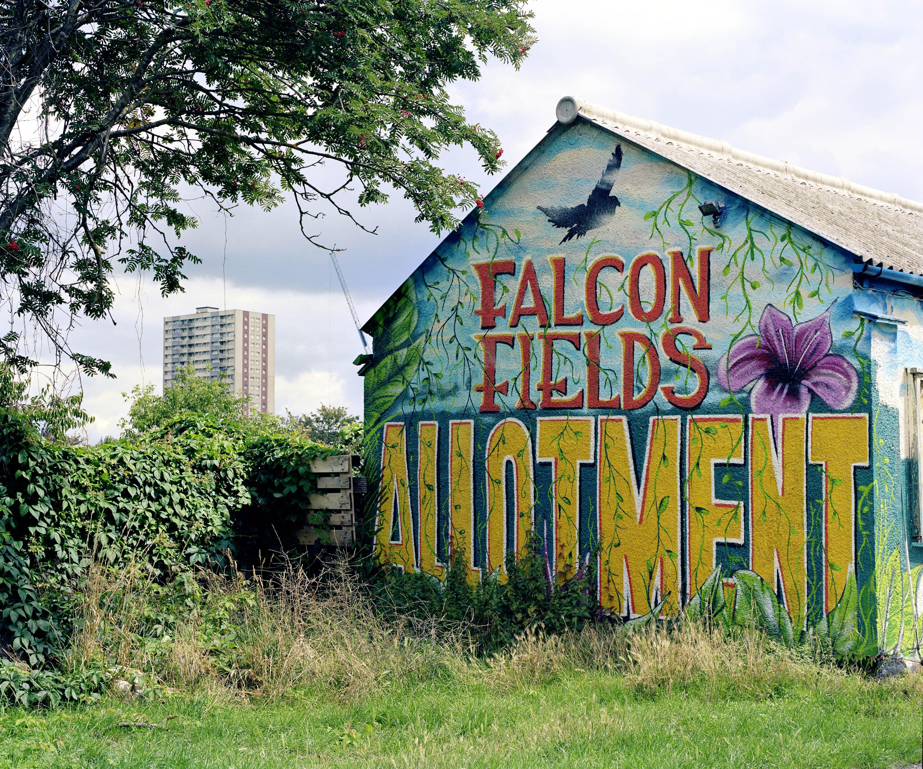 Falcon-Fields-Allotment-©-Arpita-Shah.jpg#asset:1658